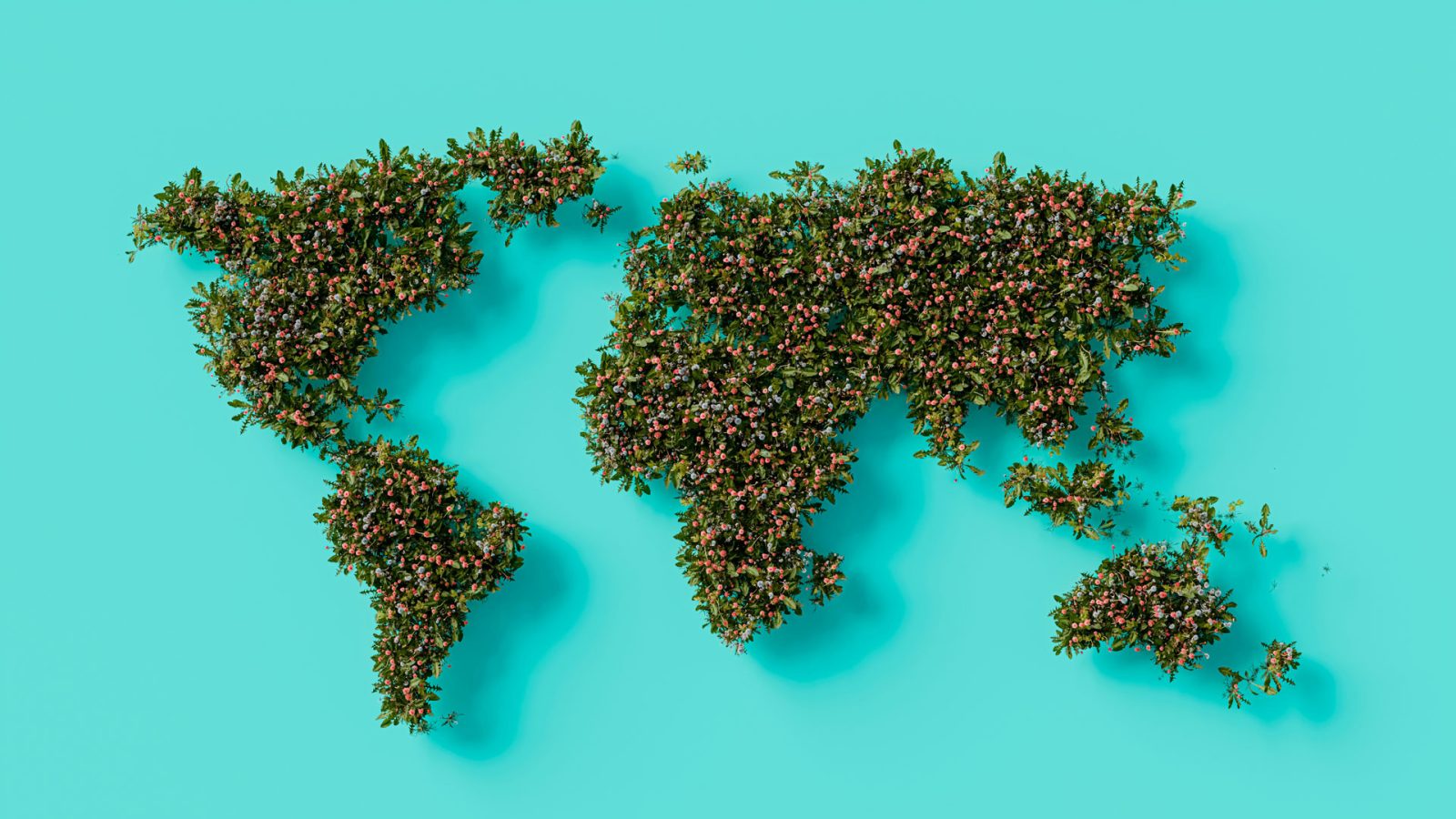Healthcare Leadership for Climate Change Specialization